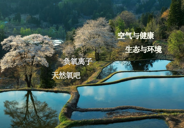 天游彩票